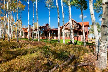 Rustic cabins nestled among tall birch trees under a clear blue sky.